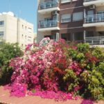 Apartment – 3 bedroom for sale, Mouttageiaka tourist area, Limassol